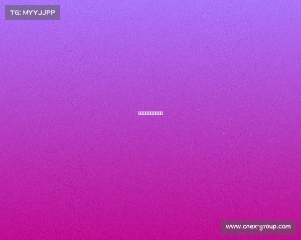 排球国内主要赛事介绍